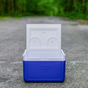 Andes 5L Cool Box Lunch Box for Food and Drinks, Fits 6 x 330ml Cans - Image 2